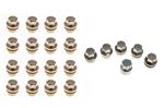 Wheel Nut Set - 5 Locking and 16 Standard Wheel Nuts with S/S Caps - STC8843AAKSP - Aftermarket
