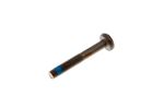 Oe Screw - PYP10018