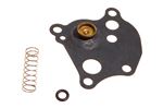 Kit-full load enrichment diaphragm assembly - MGM100110P - Aftermarket