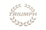 Transfer - Triumph Laurel Wreath - Large - Silver - XKC3701