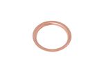 Sealing Washer Copper (crush type) - 6K501