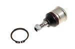 Joint-ball-lower front suspension - RBK100200EVA - Genuine MG Rover