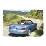 Roll Bar Sport M2 Black Double Diagonal 1989-05 - 900-771 - Hard Dog