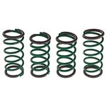 Coil Spring Set Lowering S-Tech 1989-97 - 909-920 - Tein