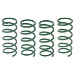 Coil Spring Set Lowering S-Tech 1999-05 - 909-921 - Tein