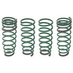 Coil Spring Set Lowering S-Tech 2006-15 - 909-922 - Tein