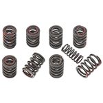 Valve Spring Inner Kit - AEA401K