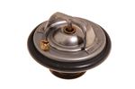 Thermostat and Seal - AJ86484P1 - OEM