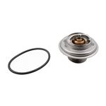 Thermostat and Seal - AJ86484P1 - OEM