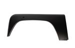 Front Wing Side Panel LH - ALR6121ALLY - OEM