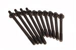 Head Bolt Set inc 6xBDU1405 and 4xBDU1404 - BDU14045PKIT