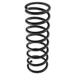 Rear Road Spring - C2S20758P - OEM