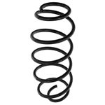 Front Road Spring - C2S34327P1 - OEM