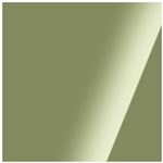 Engine Paint Green Metallic Brush-On 500ml - CCEP2BR - Eastwood