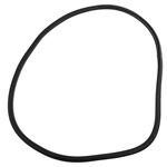 Quarterlight Seal (opening) - CGE102010SLP - MG Rover