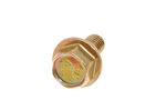 Setscrew Flanged Head M6 x 14 - DBP1420L - Genuine