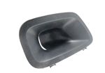 Plate-unprimed front bumper fog lamp blanking - RH, Grey - DPP100600LPU - Genuine MG Rover