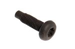 Screw - Torx - Pan - DYP10045 - Genuine MG Rover