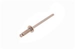 Rivet - Stainless Steel - DYQ10013 - Genuine MG Rover