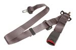 Seat belt assembly-rear bench short end - Exel Charcoal - LH - EVL102750LPZ - Genuine MG Rover