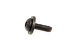 Bolt Torx Pan - EYG100140 - MG Rover