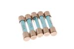 Glass Fuse 10 Amp (Pack of 5) - GFS3010