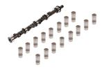 Rover V8 Camshafts and Kits