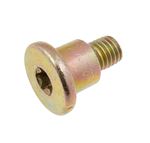 Bolt Torx Drive M8 x 10 - HYG100290 - MG Rover