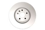 Brake Disc Front (single) 325mm - J9C2136P1 - OEM