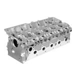 Cylinder Head - Excluding Valves - LDF500170PBARE - Aftermarket