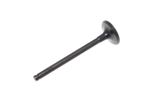 Exhaust Valve - LGH101361P1 - OEM