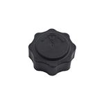 Expansion Tank Cap - PCD100160XP