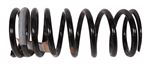 Coil Spring Rear - RKB101111 - Genuine