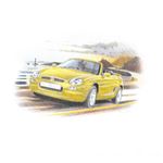MGF Trophy 160 Personalised Portrait in Colour - RP1538COL