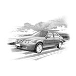 Rover 45 1999-2004 Personalised Portrait in Black and White - RP1542BW