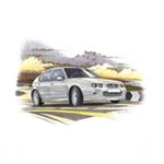 MG ZR Mk1 5 Door Personalised Portrait in Colour - RP2214COL