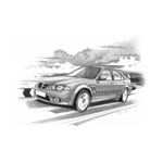MG ZS Mk2 5 Door 2004on Personalised Portrait in Black and White - RP2220BW