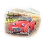 Austin Healey Frogeye Sprite 1958-61  Personalised Portrait in Colour - RP9063COLBUMPER
