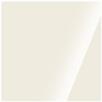 Touch Up Brush Triumph White 19 (BLVC206/NAB) - RX4009B