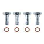 Banjo Bolt M6 and Washer Kit (4 Bolts and Washers) - STC3297P - Aftermarket