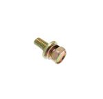 Bolt and Washer M6 x 16 - WYG10011 - MG Rover