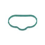 Inlet Manifold Gasket - XR843533P1 - OEM