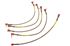 Aeroquip Brake Hose Kit - RD1101