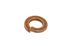 Spring Washer Single Coil 5/16" - WL600051L - Genuine