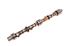 Camshaft - New - 88G303