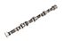 Camshaft - New - 307689