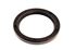 Oil Seal - Differential Side - 138523