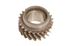 3rd Speed Gear - 216614