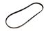 Alternator Belt - PQS040890EVA - Genuine MG Rover