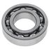 Bearing Assembly - 513897